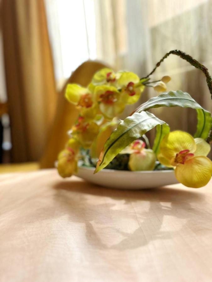 Villa Andreea Észak-Eforie Kültér fotó